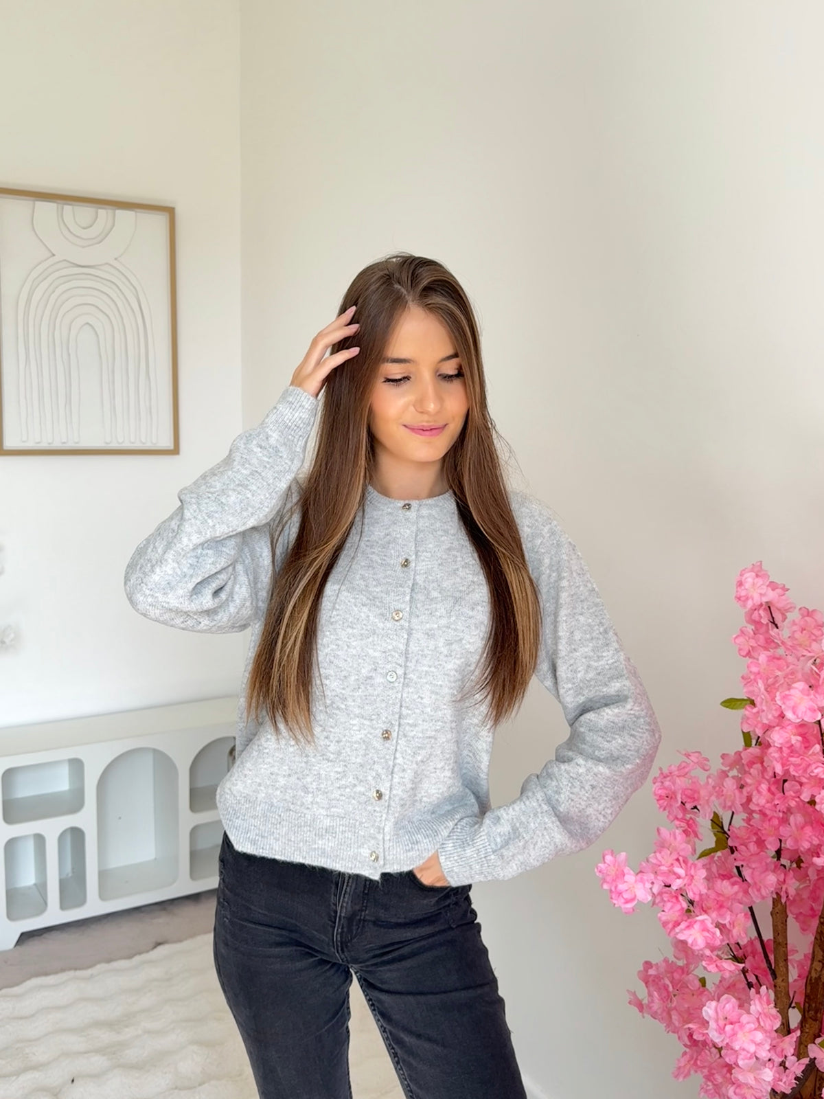 Pull/Gilet Anna Gris