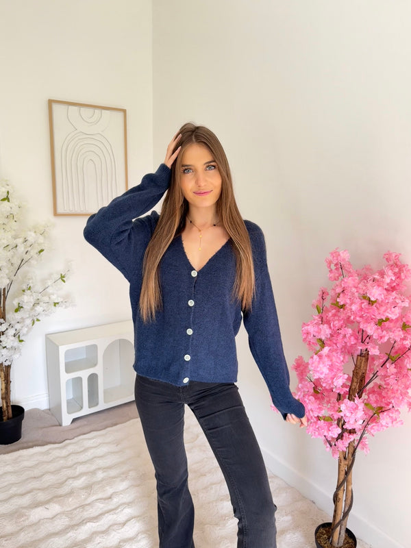 Pull/Gilet Iris en alpaga Bleu