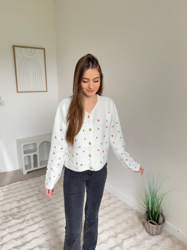 Pull / Gilet Rosalia